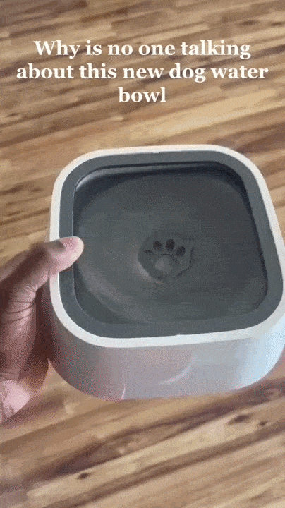 CalmSip Pet Water Fountain
