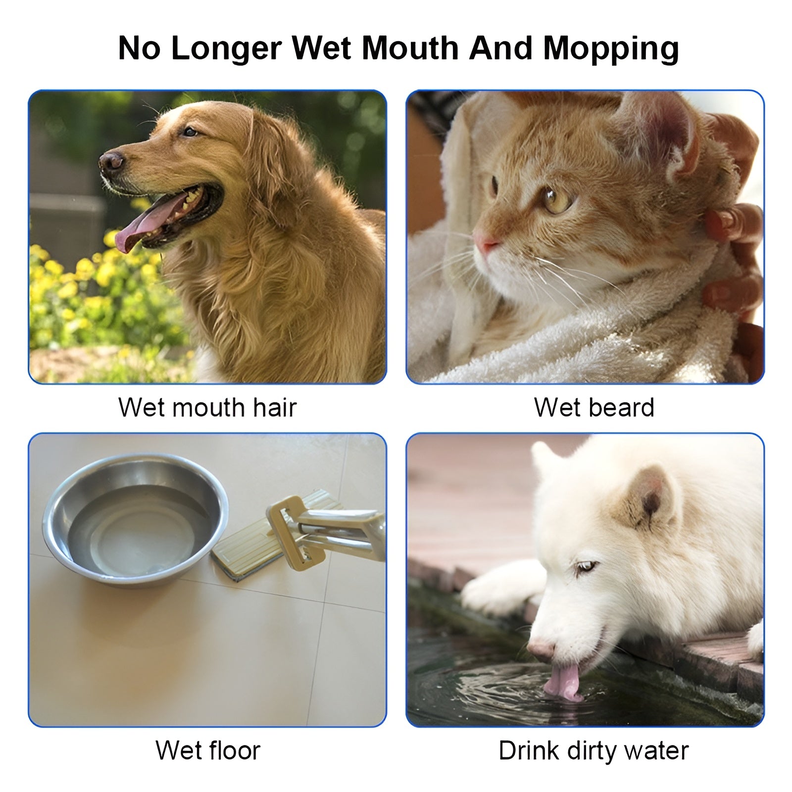 Dust-proof floating pet water bowl that keeps hair and debris out of the water.