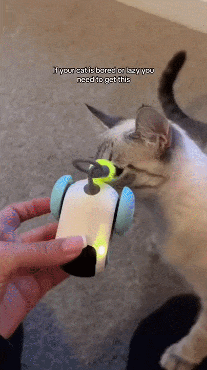 CrazyJoy Smart Cat Chase Car