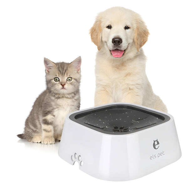 Innovative floating disk pet water feeder to prevent splashing and keep floors dry.