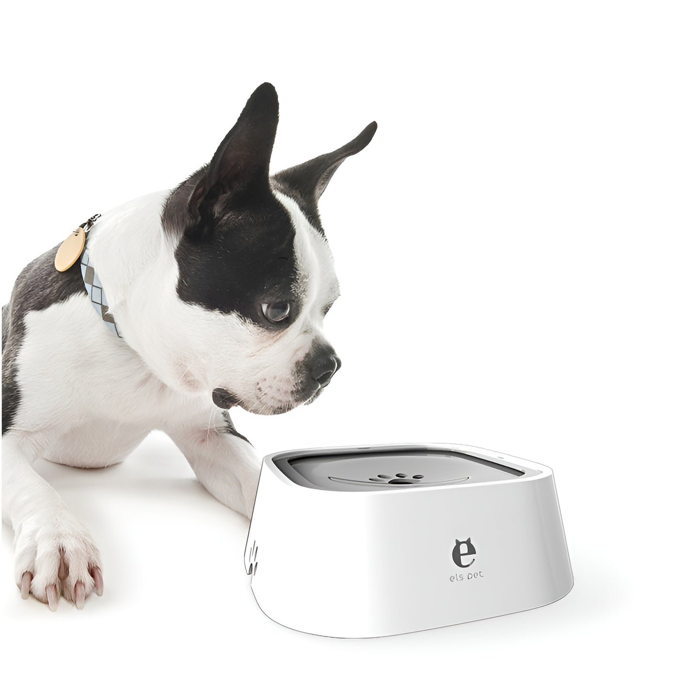 No-mess pet drinking bowl designed for home and car travel safety.